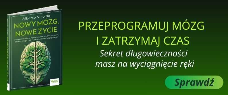Nowy mózg, nowe życie banner