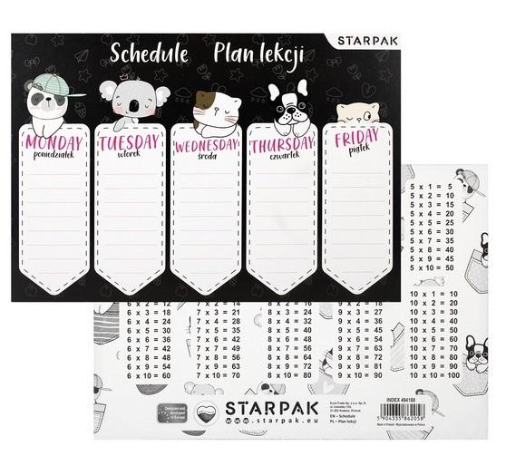 Plan lekcji z tabliczką mnożenia Minisy mix | Multiszop.pl