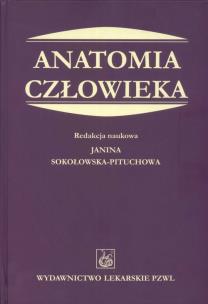 Opakowanie Anatomia człowieka