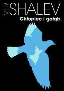 Okładka książki Chłopiec i gołąb