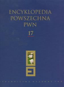 Opakowanie Encyklopedia Powszechna PWN t.17