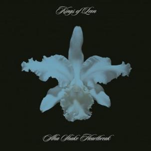 Okładka książki Aha shake heartbreak