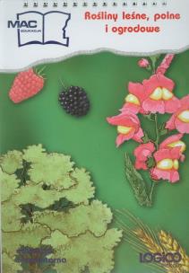 Okładka książki Logico Piccolo Rośliny leśne polne i ogrodowe Edukacja elementarna