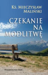 Okładka książki Czekanie na modlitwę