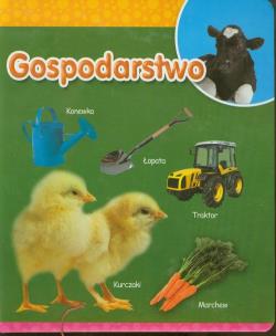 Okładka książki Gospodarstwo