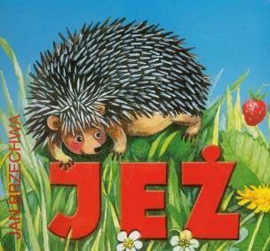 Okładka książki Jeż
