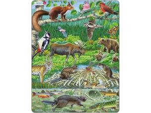 Opakowanie Las nordycki