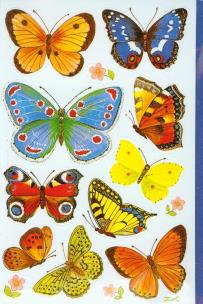 Okładka książki Naklejki papierowe - Motyle