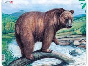 Opakowanie Niedźwiedź