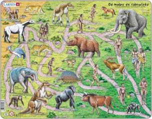 Opakowanie Puzzle Od małpy do człowieka 83