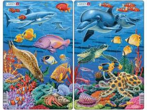 Opakowanie Rafa koralowa