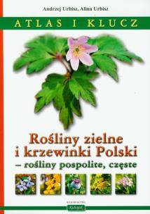Okładka książki Rośliny zielne i krzewinki Polski rośliny pospolite, częste Atlas i klucz