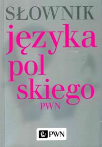 Okładka książki Słownik języka polskiego BR