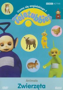 Opakowanie Teletubisie: Uczmy się angielskiego
