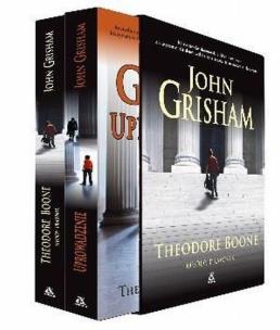 Okładka książki Theodore Boone młody prawnik / Uprowadzenie