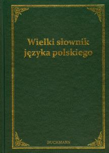 Okładka książki Wielki słownik języka polskiego