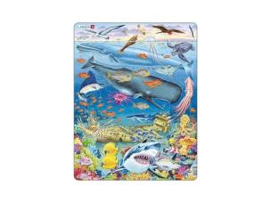 Opakowanie Wieloryb i rafa