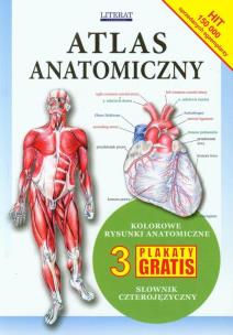 Okładka książki Atlas anatomiczny w.2013 LITERAT