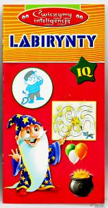 Opakowanie Ćwiczymy Inteligencję - Labirynty