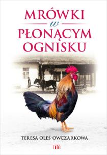 Okładka książki Mrówki w płonącym ognisku