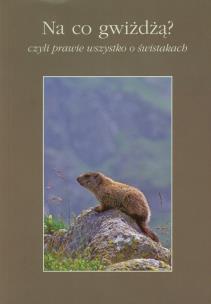 Okładka książki Na co gwiżdżą?