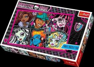 Opakowanie Puzzle 160 Monster High TREFL
