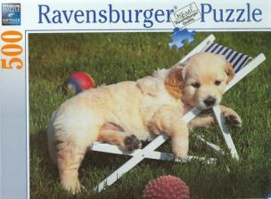 Okładka książki Puzzle 500 Wypoczynek wśród zieleni