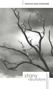 Okładka książki Stany nieustalone