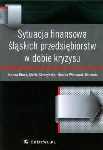 Okładka książki Sytuacja finansowa śląskich przedsiębiorstw w dobie kryzysu