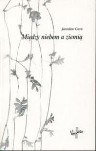 Okładka książki Między niebiem a ziemią