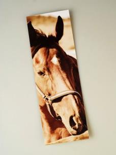 Opakowanie Zakładka do książki Koń