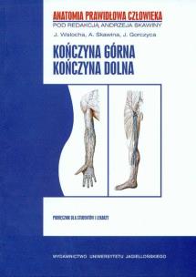 Opakowanie APC Kończyna górna Kończyna dolna