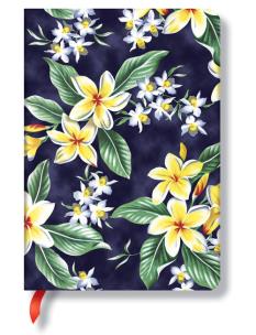 Okładka książki Notatnik Akahai w linię Midi