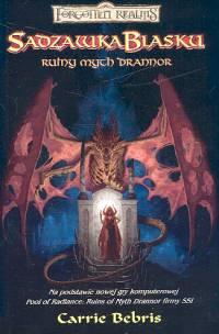 Okładka książki Sadzawka blasku Ruiny mych Drannor