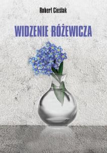 Okładka książki Widzenie Różewicza