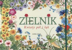 Okładka książki Zielnik. Kwiaty pól i łąk