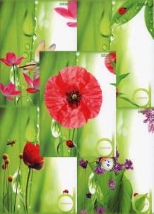 Opakowanie Brulion A5 Top-2000 w kratkę 96 kartek Ladybird mix