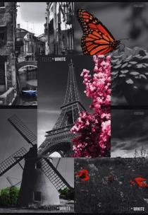 Opakowanie Kołozeszyt A5 Top-2000 w kratkę 80 kartek Black&White mix