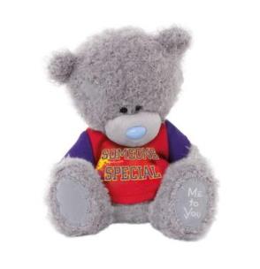 Opakowanie Miś 18 cm w koszulce Someone Special