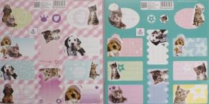 Opakowanie Naklejki na zeszyty