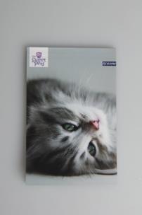 Opakowanie Notes z poddrukiem A7/ 30k. 8 wzorów mix