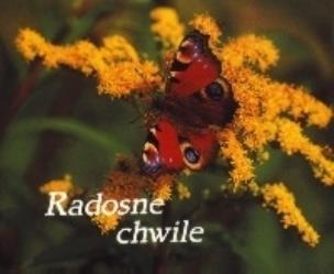 Okładka książki Perełka 046 - Radosne chwile