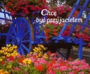 Okładka książki Perełka 055 - Chcę być przyjacielem