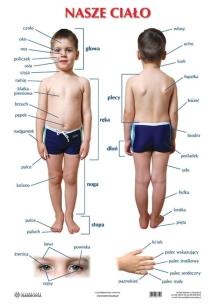 Opakowanie Plansza - Nasze ciało / our body