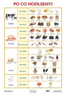 Okładka książki Plansza - Po co hodujemy?