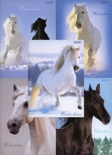 Opakowanie Zeszyt A4 Top-2000 w kratkę 96 kartek Winter Horses mix