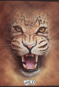 Opakowanie Zeszyt A5/60k. linia