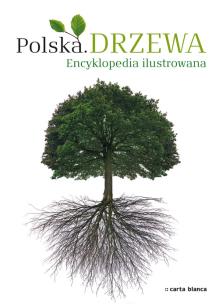 Okładka książki Drzewa. Encyklopedia ilustrowana CARTA BLANCA