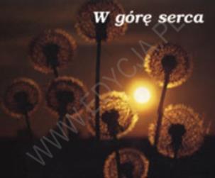 Okładka książki Perełka 009 - W górę serca