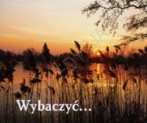 Okładka książki Perełka 087 - Wybaczyć....